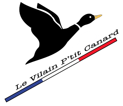 Le Vilain P’tit Canard